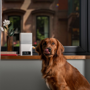 pet monitoring smart package